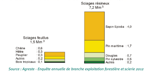 production-scierie-2012