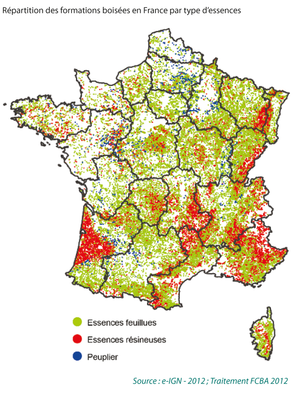 repartition-foret-2013