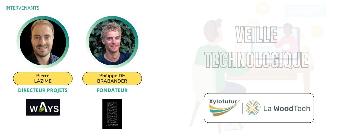 xylopitchs visuels (62)